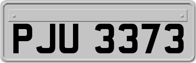 PJU3373
