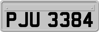 PJU3384
