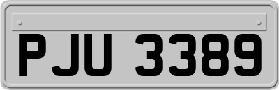 PJU3389