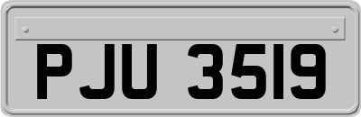 PJU3519