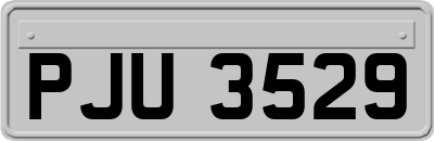 PJU3529