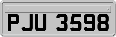 PJU3598