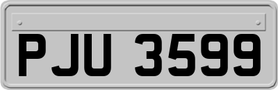 PJU3599