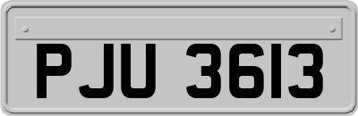 PJU3613