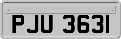 PJU3631