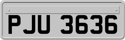 PJU3636