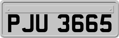 PJU3665