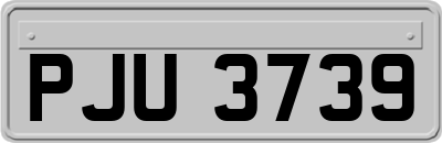 PJU3739