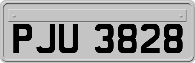 PJU3828