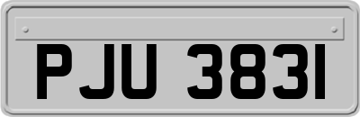 PJU3831