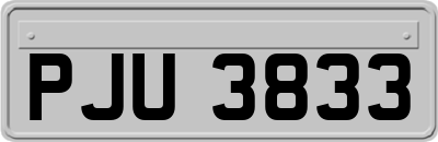 PJU3833