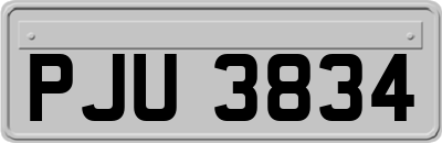 PJU3834