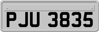 PJU3835