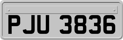 PJU3836