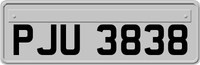 PJU3838