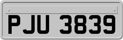 PJU3839