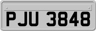 PJU3848