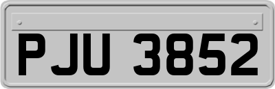 PJU3852