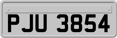 PJU3854