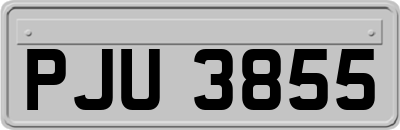 PJU3855