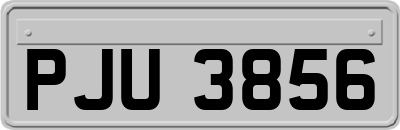 PJU3856