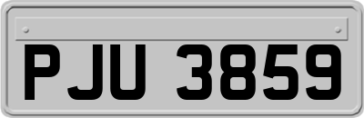 PJU3859