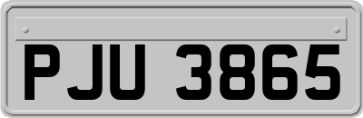 PJU3865