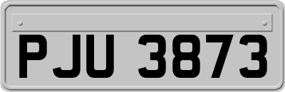 PJU3873