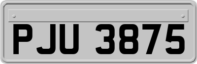 PJU3875