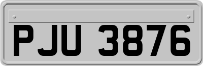 PJU3876