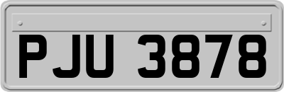PJU3878
