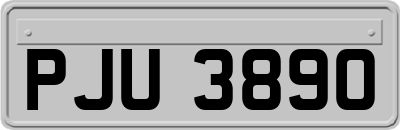 PJU3890