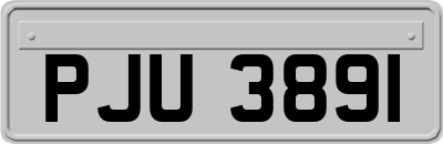 PJU3891