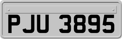 PJU3895