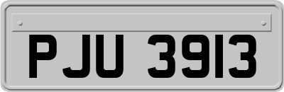 PJU3913