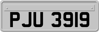 PJU3919