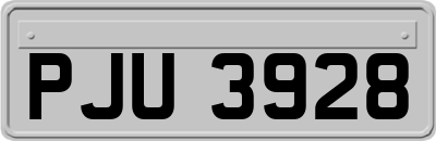 PJU3928