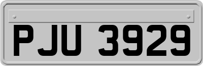 PJU3929