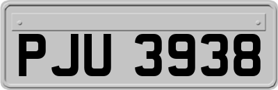 PJU3938