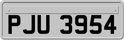 PJU3954