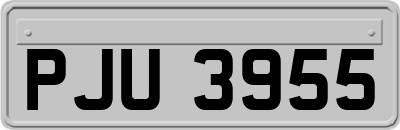 PJU3955