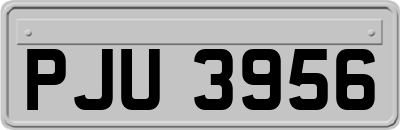PJU3956