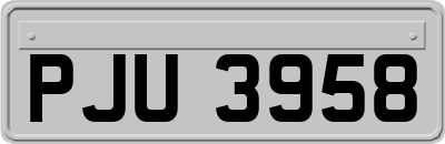 PJU3958