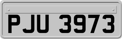 PJU3973