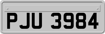 PJU3984