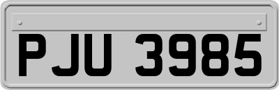 PJU3985