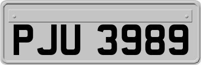 PJU3989