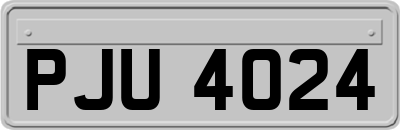 PJU4024