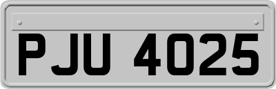 PJU4025