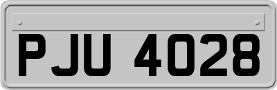 PJU4028